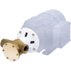 Impellerpumpe for 220V (Nitrile impeller)