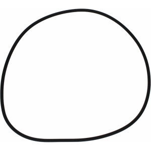 Pakning/o-ring til sjøvannsfilter 1007482/89+1091218