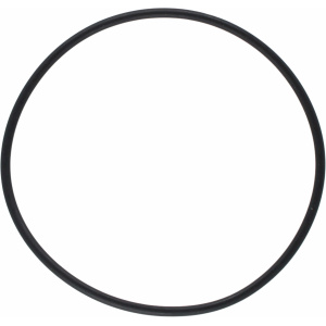 Pakning/o-ring til 3/4"(1007481)+ 1"(1007499) sjøvannsfilt