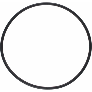 Pakning/o-ring til sjøvannsfilter 1007485/87