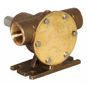 Bronsepumpe BRZ PED 040 BSP NEO