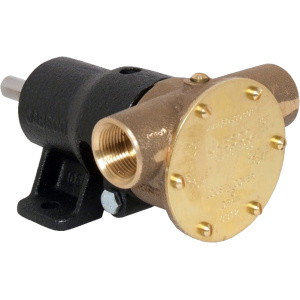 Bronsepumpe BRZ PED 040 BSP